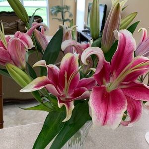 Meet your Posher, Elaine